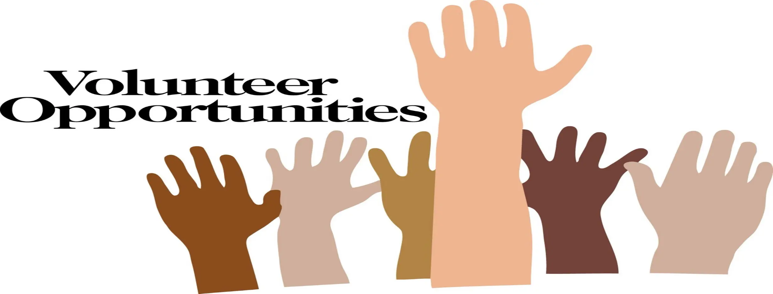 Image for Volunteer Opportunities